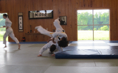Client-Centered Aikido